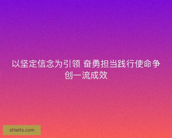 以坚定信念为引领 奋勇担当践行使命争创一流成效